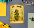 Gillyweed Seed Packet